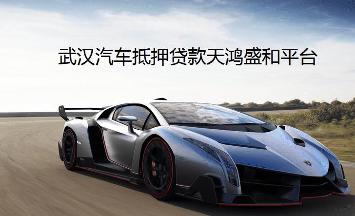 武漢汽車抵押貸款天鴻盛和平臺